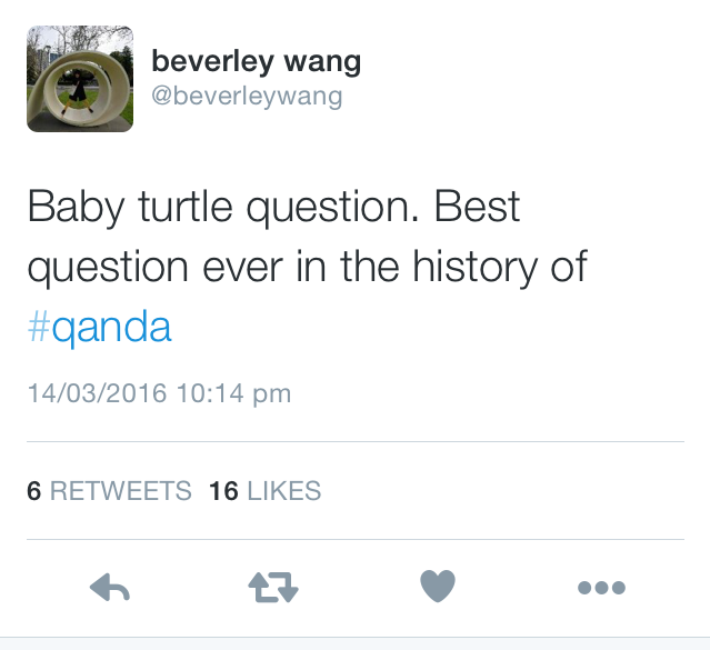turtle tweet